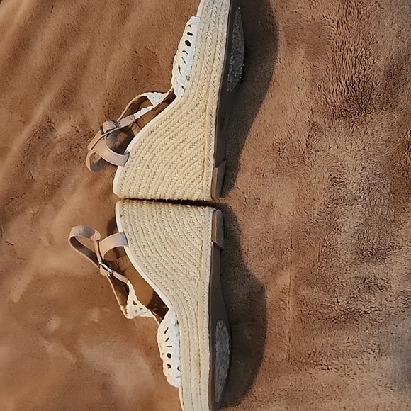 Gianni Binni heals - Picture 6 of 6